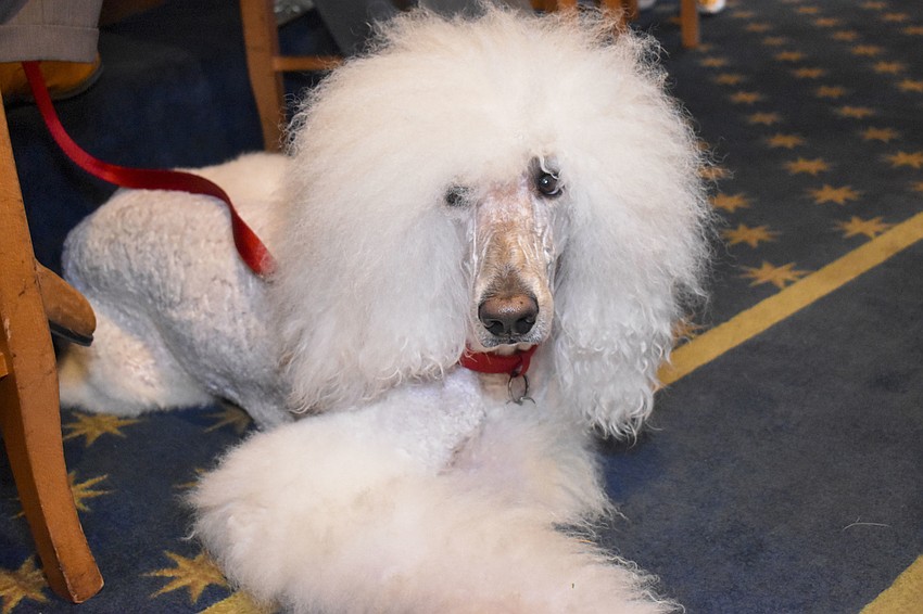 Charlie Parker lounges before he walks in the show.