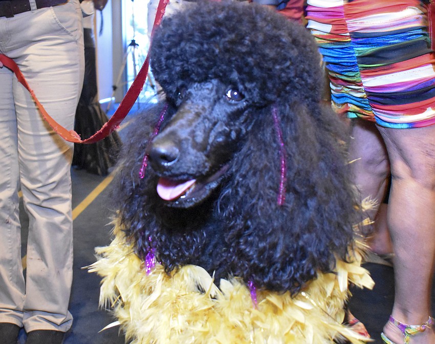 Ariel poses with her yellow boa.
