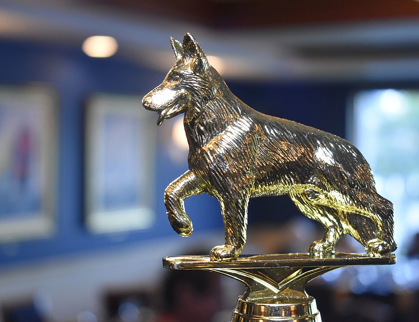 The Top Dog is voted on by a judges panel.