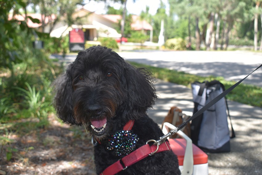 Reba is ready for her closeup.