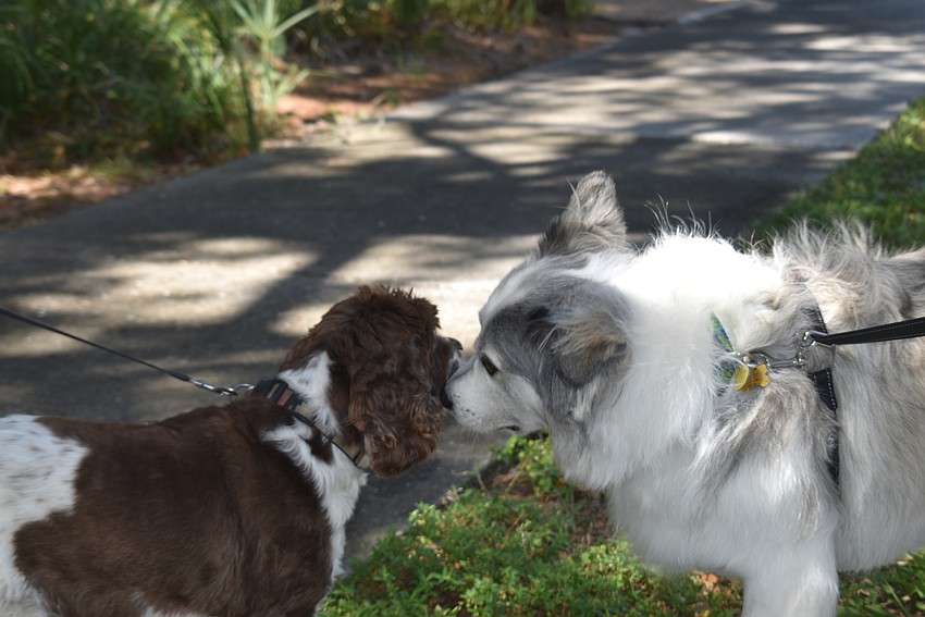Whitney and Poppy say hello.