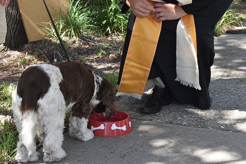 Whitney drinks from a bowl Father Dave Marshall brought.