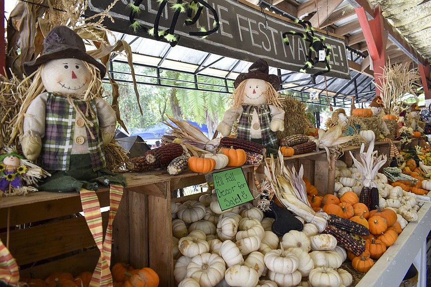 Fruitville Grove is open daily to sell pumpkins and fall decor.