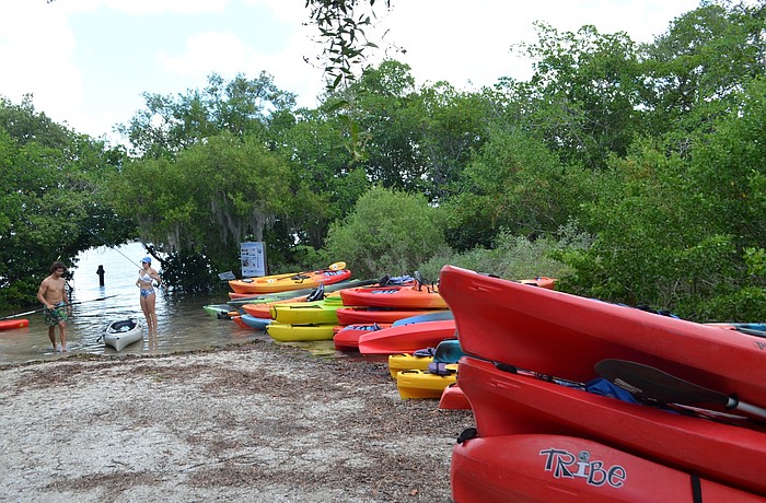 Ted Sperling park overlooks Sarasota Bay near Big Pass.