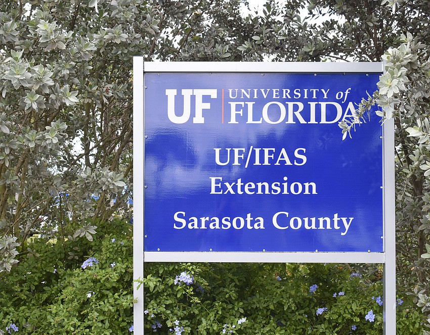The UF/IFAS Extension hosts an a plant sale each year.