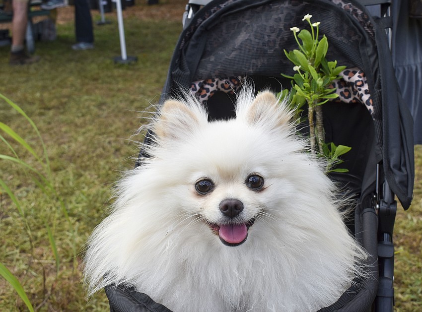 Gabby poses with her owners new plant.