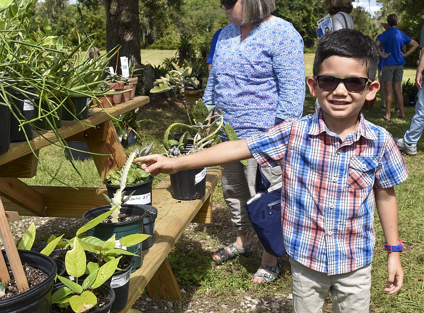 Russel Ruman, 5, chooses out a succulent.