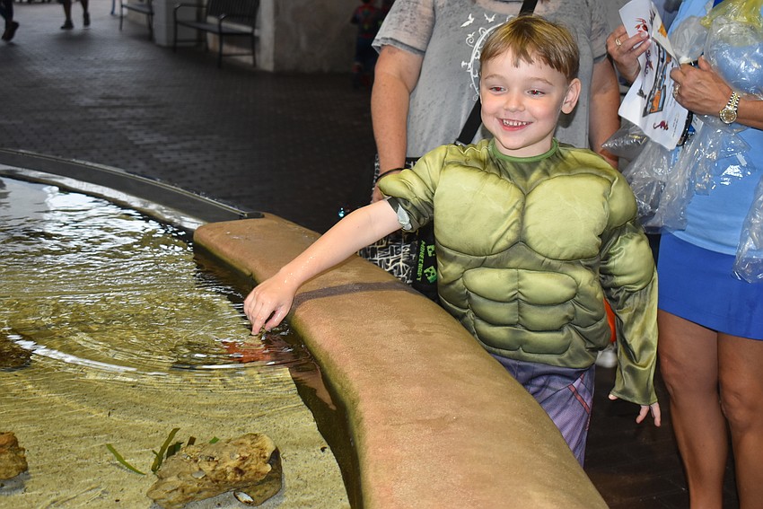Grady Lee braves the touch tank.