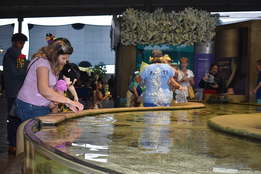 Alana and Thea Reedy point out animals in the touch tank.