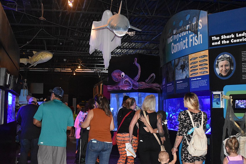 Even indoors, the aquarium was in the spirit.