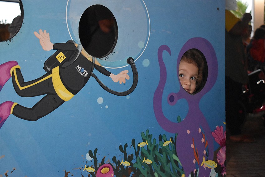 Wednesday Morgan peeks around a cut-out board.