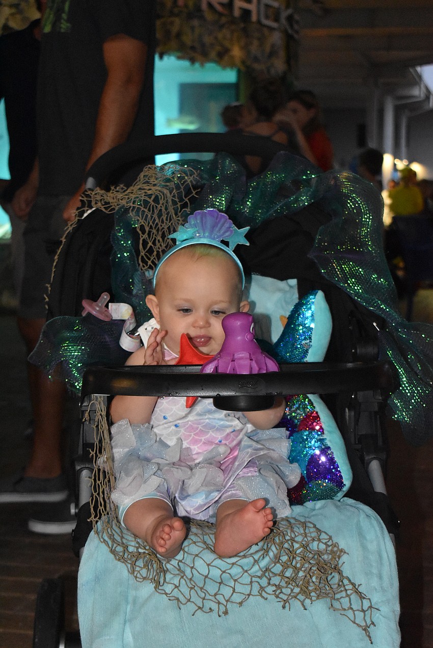 Isabelle Carrasquillo's stroller was decked out too.