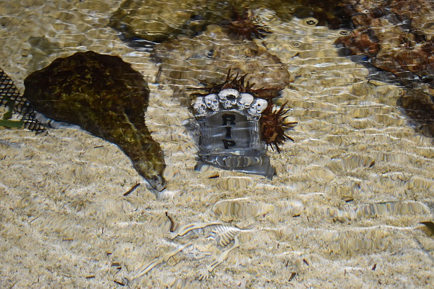Spooky decorations even came underwater.