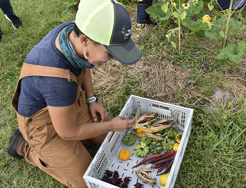 Kate Traugott adds popcorn to the basket.