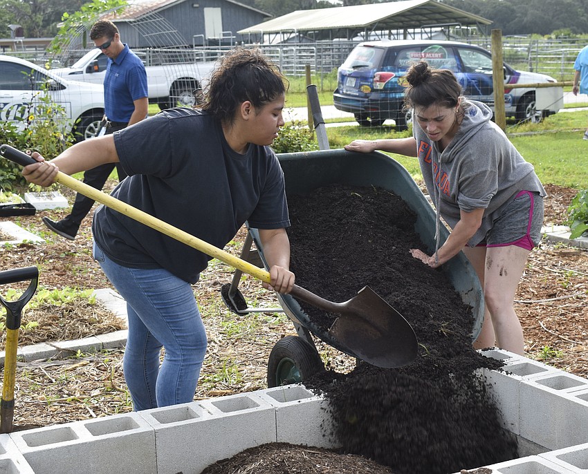 Adriana Romero and Nury Dominguez pour soil into a new planting box.