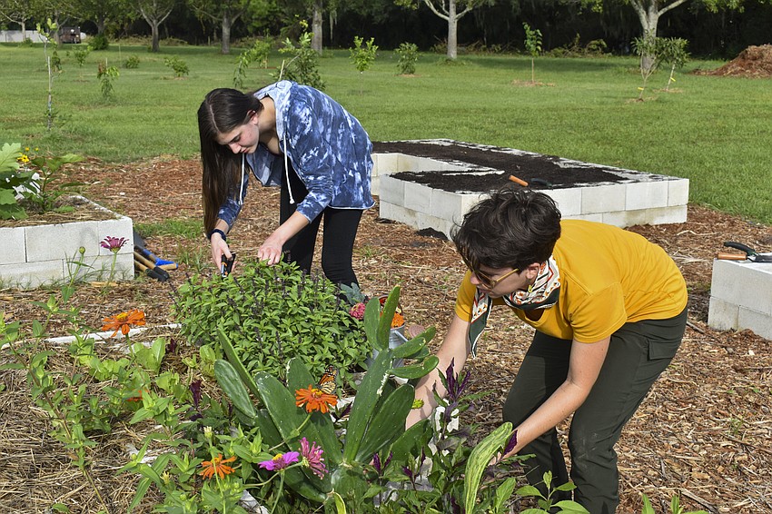Caitlin Loewe and Kat Grimmett pick flowers.