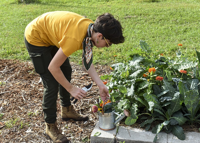 Kat Grimmett picks flowers from the garden.