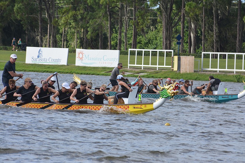 The HEAT Women and the K2N Wahine teams battle in the 500m premier/senior women 10/20 qualifying race.