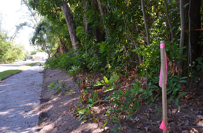 The Chiles Group has applied to the town to build a 98-spot lot and an office on property between an empty bank and Whitney Plaza.