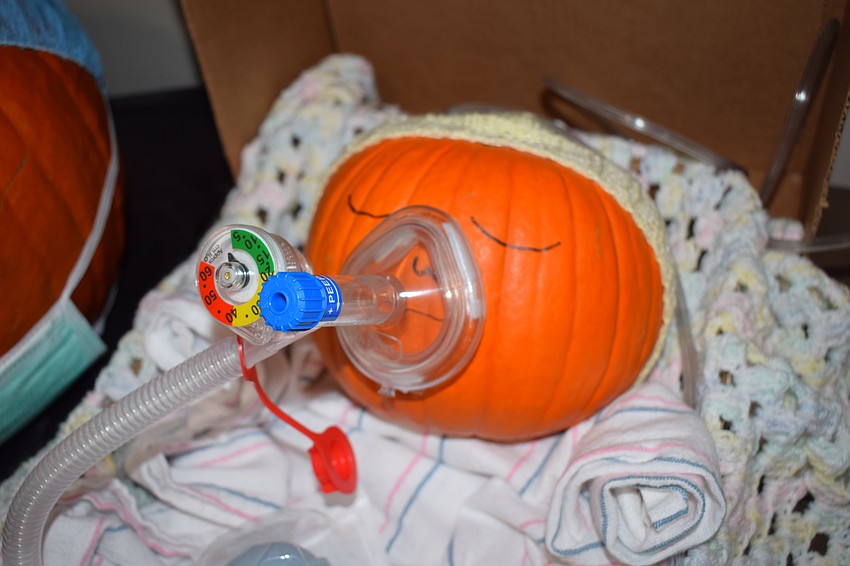 Poor little pumpkin head.