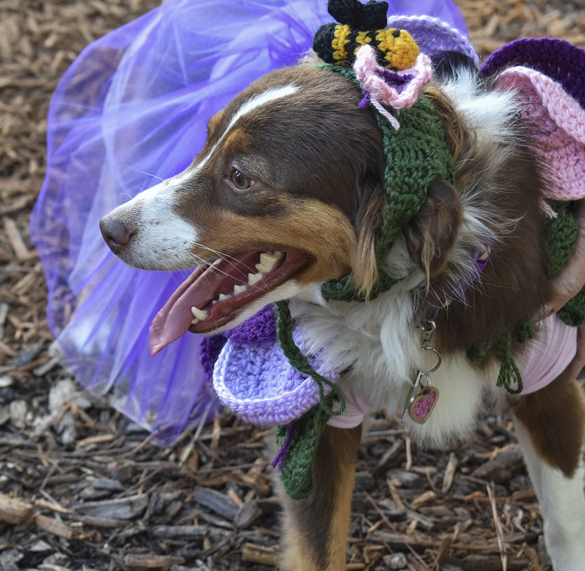 Lulu, 11 months, dresses as a flower to match her sister Daisy.