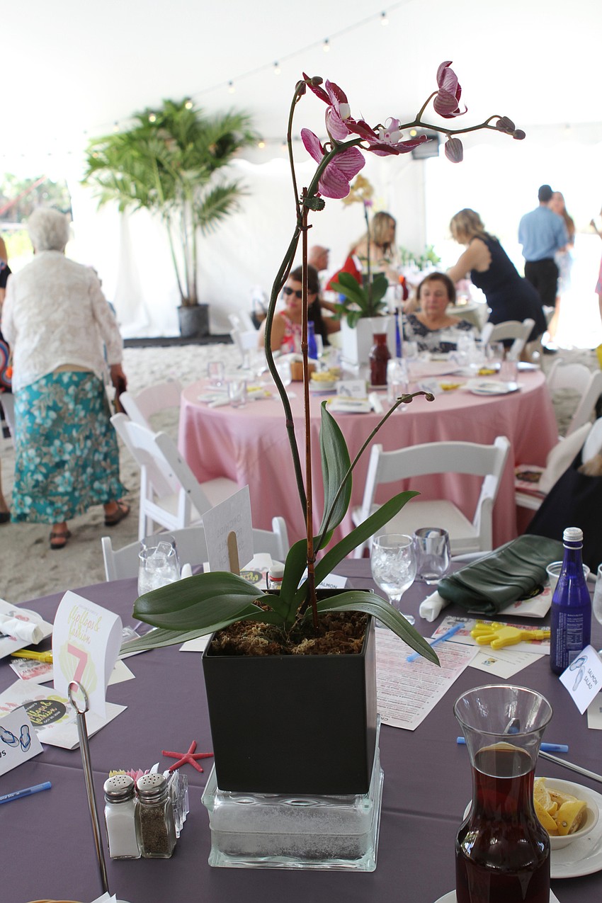 Each orchid arrangement was for sale at $25.