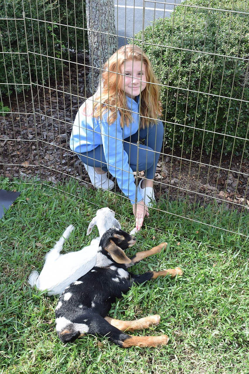 Copper Leaf's Lauren Carpenter pets some goats at the market. She was celebrating her 12th birthday.