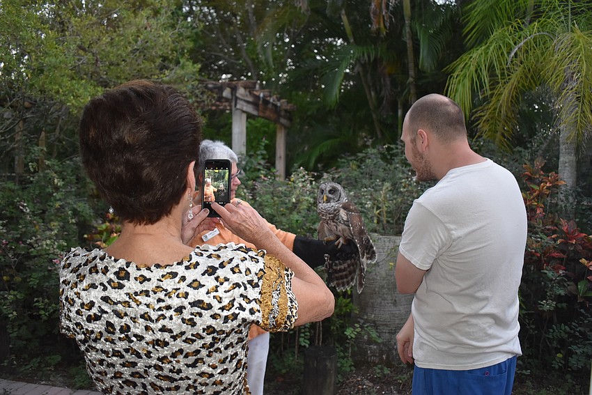 Nancy Curtis snaps a photo of an owl while Jonathan Handee keeps an eye on the bird.