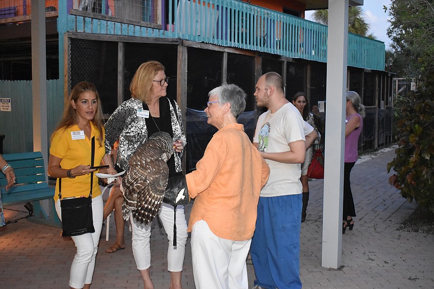 Attendees gathered to peer right back into the owl's huge eyes.