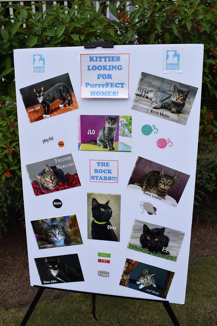 Dogs had the spotlight, but the Humane Society at Lakewood Ranch handles cats as well.