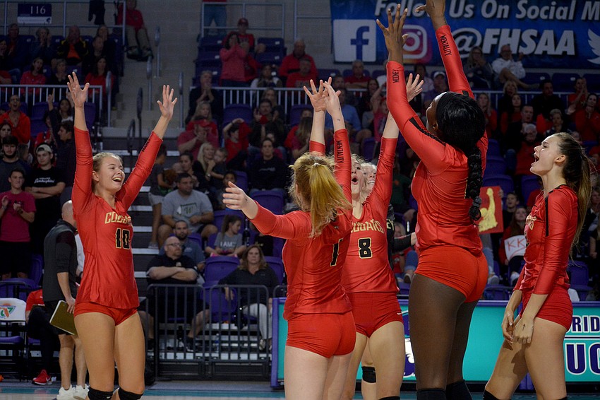 The Cougars celebrate after winning a point.
