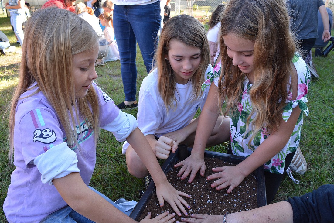 Fifth graders Kailey Holdsworth, Sophia Ashley and Ava Bell have fun getting their hands dirty and are eager to plant their tomato plants.