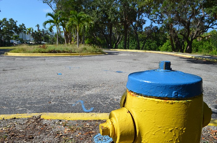 The site of the tree lighting.