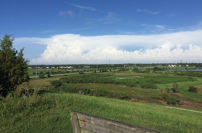 Community leaders hope to turn the portions of the Quads that received conservation easements into woodland habitat. Eric Garwood