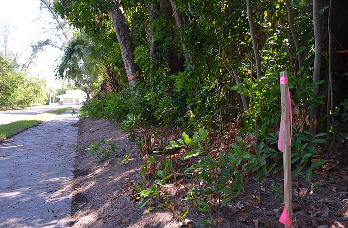 Driveways would allow access from Palm Drive and Cedar Street but not from Gulf of Mexico Drive, plans show.