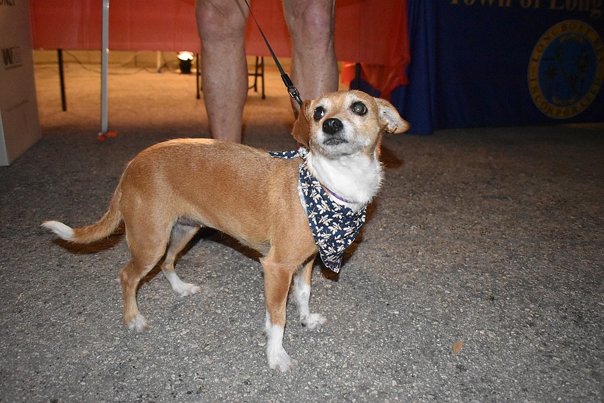 Casey couldn't keep still.