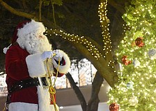 Santa Claus plugs in the Christmas tree.