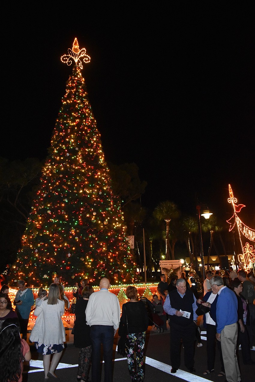The street in front of the tree was blocked off to allow for safe picture-taking.
