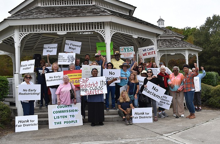Several residents gathered in Phillippi Estate Park to protest the county's redistricting map.