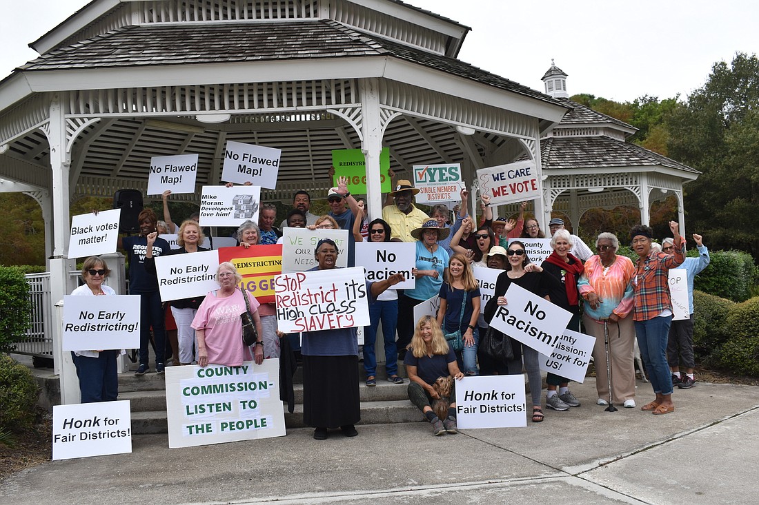 Several residents gathered in Phillippi Estate Park to protest the county&#39;s redistricting map.