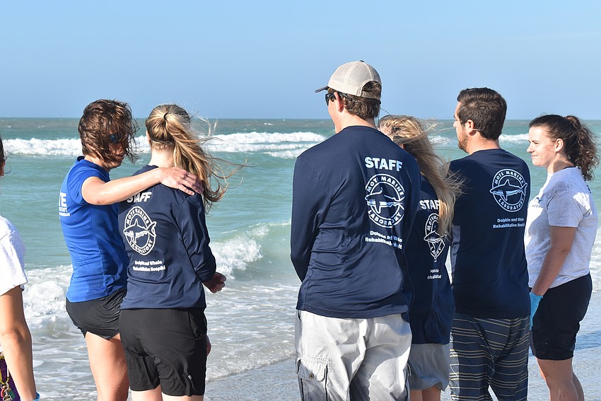 Staff and volunteers come together after releasing Larissa.