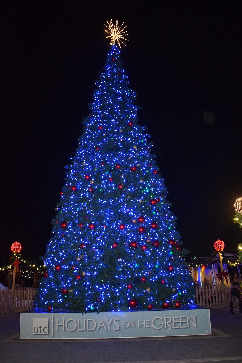 Millions of lights are put on a giant tree as a centerpiece at the Mall at University Town Center's Holidays on the Green.