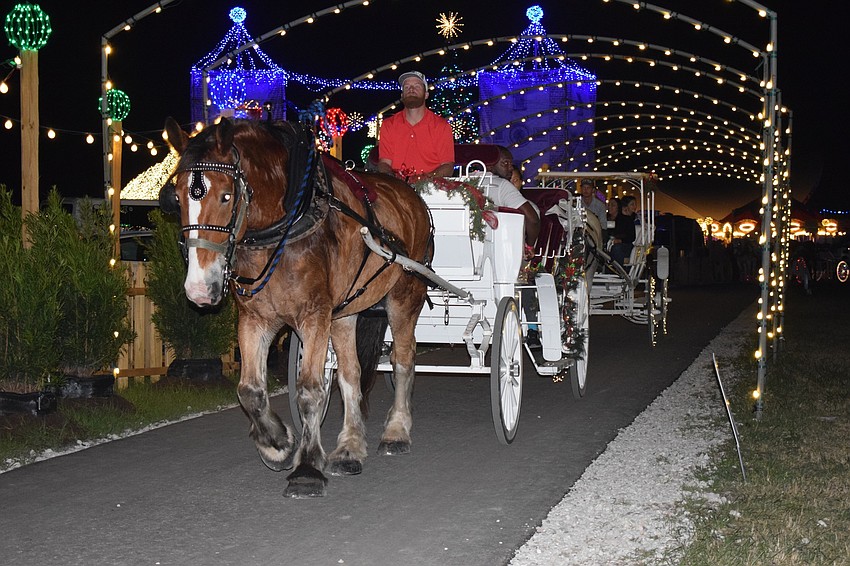 Horse-drawn carriages are just one way for people to view the light displays around the lake during Holidays on the Green. People can also walk, ride bikes or take the tram.