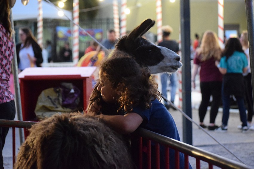 Valentina Trebbi, a second grader, hugs a llama. Trebbi's mother, Michelle, says Winter Wonderland is an excellent opportunity for parents to meet each other and other families.