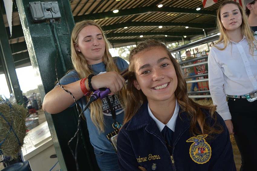 Lakewood Ranch High School's Hannah Yancey helps her friend Reagan Gross get ready to sell her pig, Squirrel. 