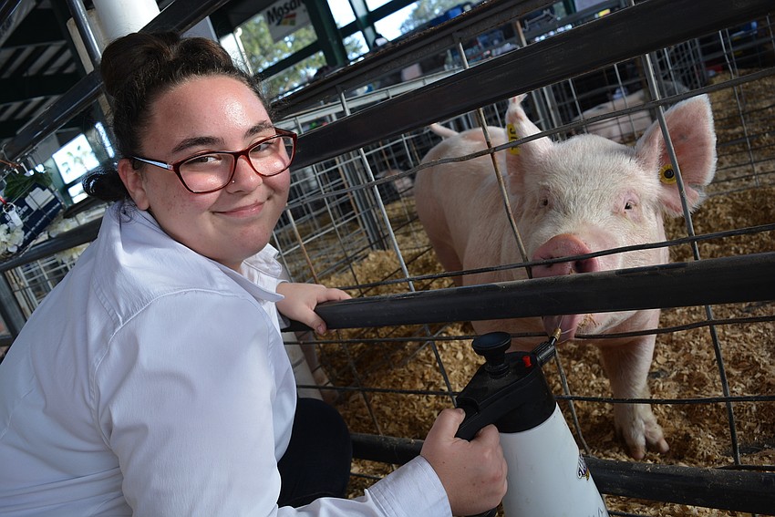 Lakewood Ranch High School sophomore Danielle Levato is sad about selling her 252-pound pig, Hazel. 
