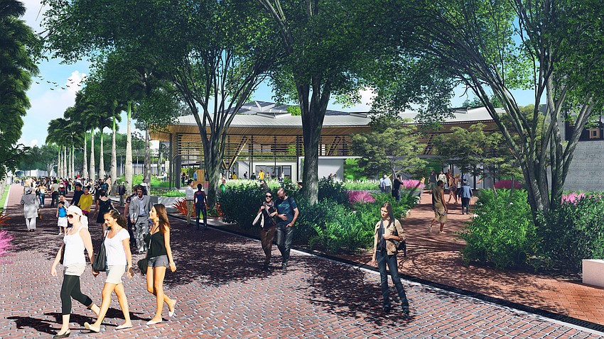 Plans for a redesigned Selby Gardens include a pedestrian promenade on Palm Avenue south of Mound Street. Rendering courtesy Marie Selby Botanical Gardens.