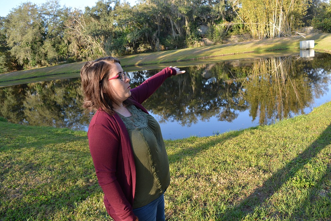 Gates Creek resident Brittany Lush says water from this stormwater pond has flooded into her family&#39;s property, pictured in the background, during heavy storm events.