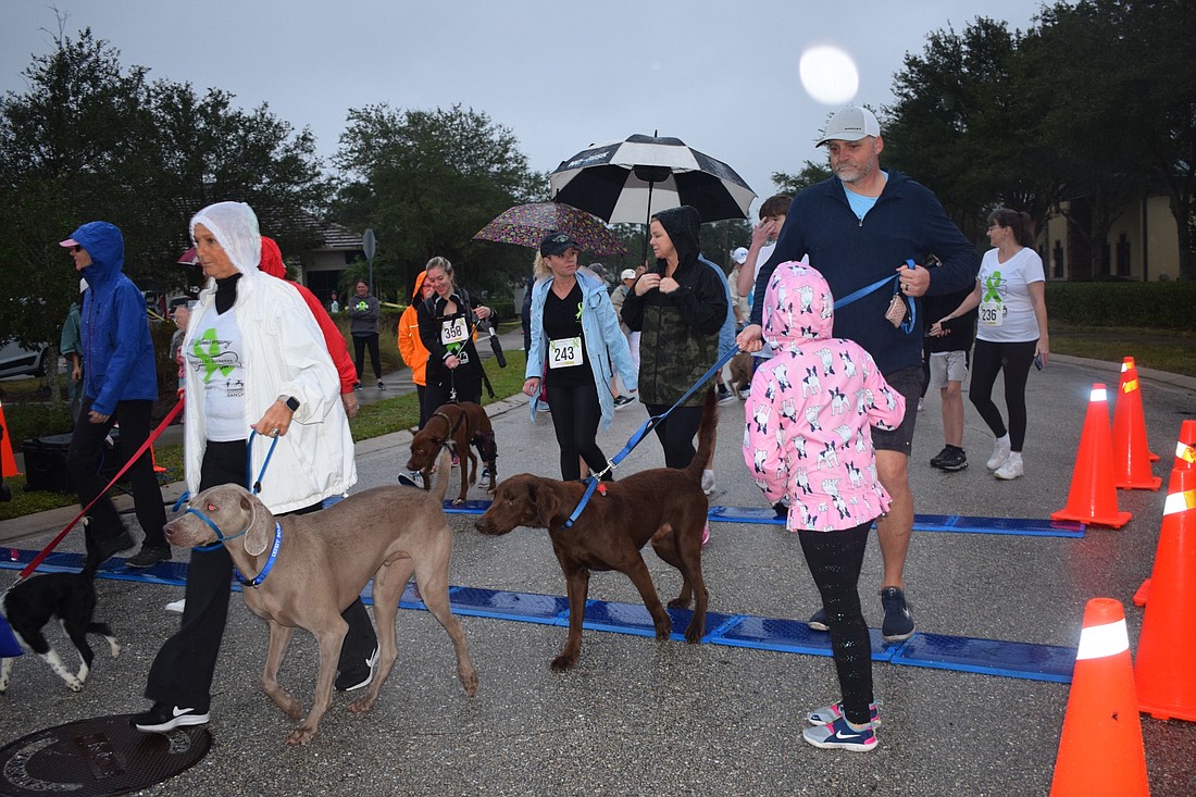 Your Observer Photo Runners and their dogs start their 5K race.