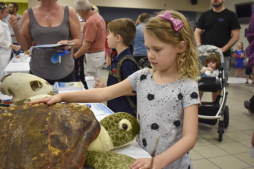 Maddie Kucera, 5, pets a turtle shell.